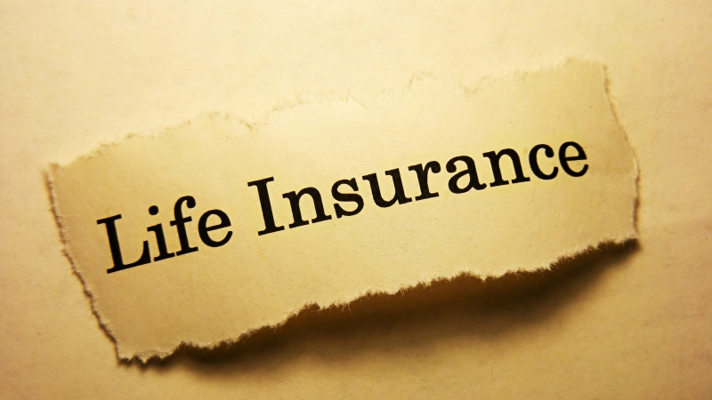 What Are Modified Endowments for Low Cost Life Insurance?